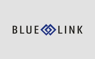 BLUE LINK ERP